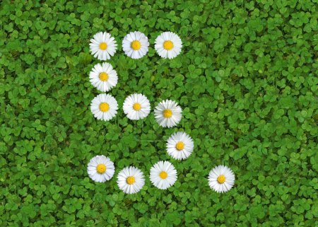 Photo for Number written with daisies (bellis perennis) on green clover - Royalty Free Image