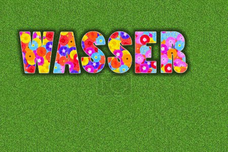 german word Wasser, water, written with colorful flowers on green clover background