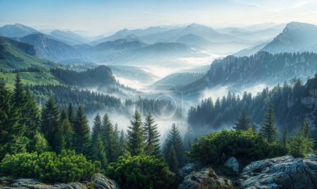 Beautiful mountain view with forests and rocks