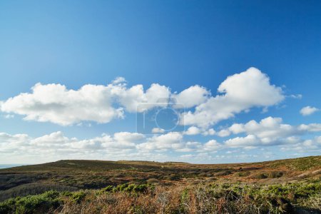Cornwall, Royaume-Uni - paysage typique avec des collines, des buissons et des murs de pierre près de Porthcurno
