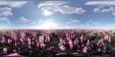 A field filled with vibrant purple flowers stretches far and wide under a clear blue sky. The colorful blooms sway gently in the breeze. equirectangular 360 degree panorama vr virtual reality content