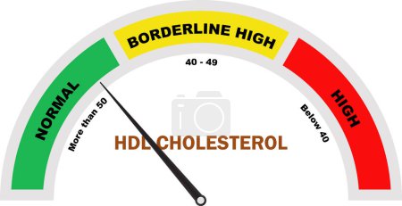 Nivel de colesterol HDL, Prueba de colesterol, Prueba de colesterol HDL, Icono del medidor de colesterol, Herramienta de diagnóstico médico
