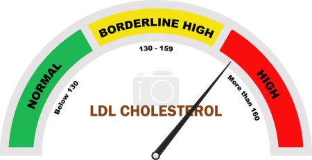 LDL Cholestérol de haut niveau, Test de cholestérol élevé, Test de cholestérol LDL, icône du compteur de cholestérol, outil de diagnostic médical