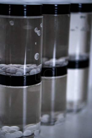 huile de coco cristalliser dans un bocal, faire des bulles et devenir raide en raison de la température, expérience scientifique