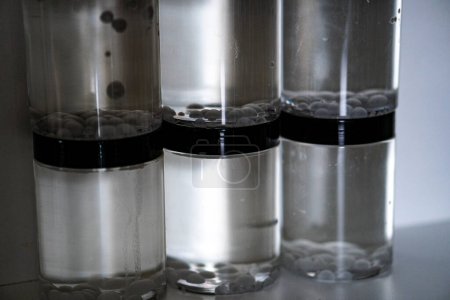 aceite de coco cristalizando en un frasco, haciendo burbujas y volviéndose rígido debido a la temperatura, experimento científico
