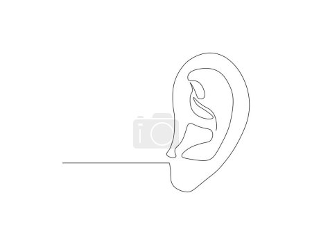 Continuous one line drawing of human ear. One line of human ear. Body parts conceptcontinuous line art. Editable outline.
