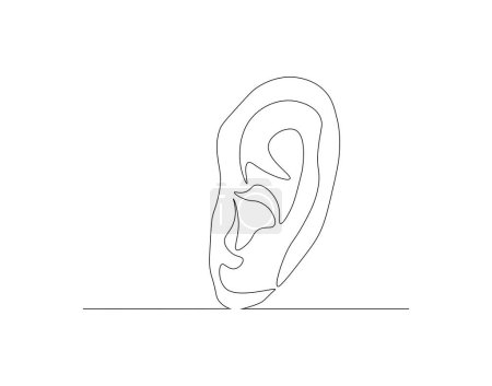Dibujo continuo de una línea del oído humano. Una línea de oído humano. Partes del cuerpo conceptolínea continua art. Esquema editable.