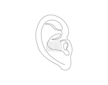 Dibujo continuo de una línea del oído humano. Una línea de oído humano. Partes del cuerpo conceptolínea continua art. Esquema editable.