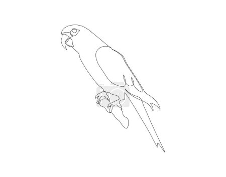 Kontinuierliche Linienzeichnung des Papageienvogels. Eine Papageienlinie. Tiere aus der Luft konzipieren kontinuierliche Linienkunst. Bearbeitbare Skizze.