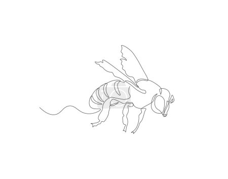 Continuous line drawing of bee. One line of flying bee. Flying insects concept continuous line art. Editable outline.