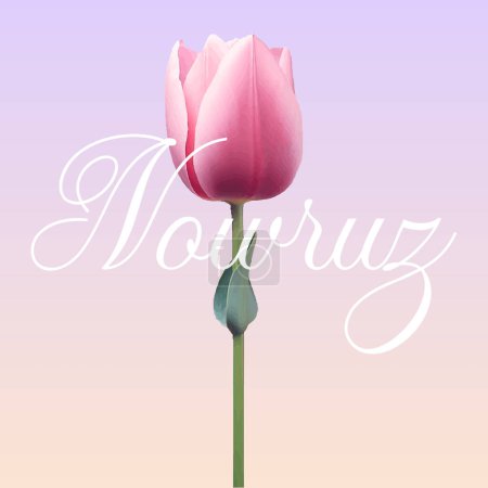 Ilustración de Navruz vacaciones, Hermosa inscripción Navruz, Flores de tulipán, texto caligráfico, Marzo, tarjeta de vacaciones, fondo, gradiente, colores suaves - Imagen libre de derechos