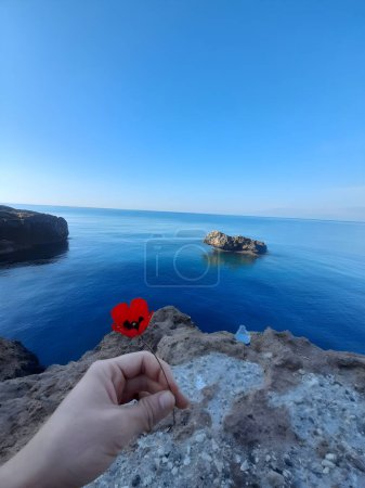 View of a Small Island Floating on Light Blue Waters with a Red Flower Held by a Person's Hand