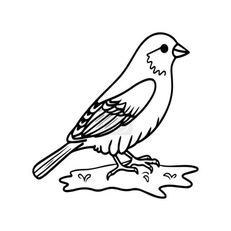 Sparrow coloring pages. Sparrow bird outline vector for coloring book