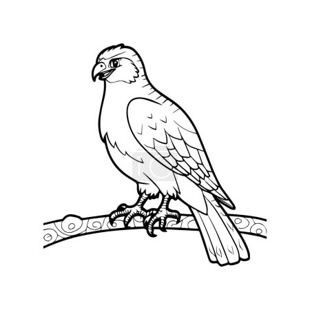 Hawk coloring pages. Hawk bird outline vector for coloring book