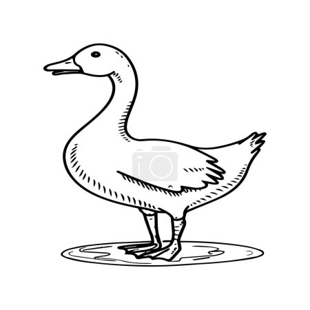 Illustration for Goose coloring pages. Bird outline for coloring book - Royalty Free Image