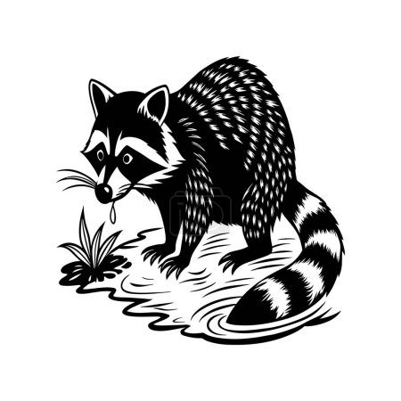 Raccoons silhouette black white vector illustration