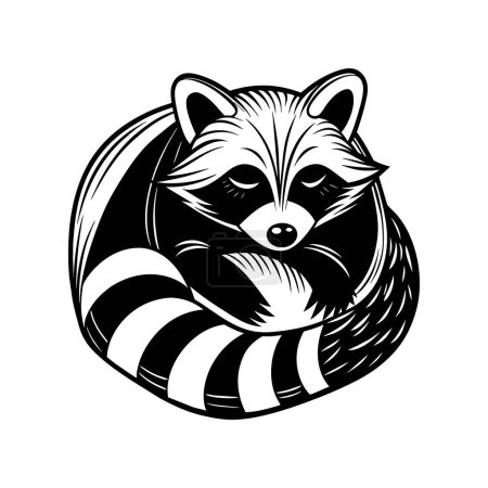 Raccoons silhouette black white vector illustration