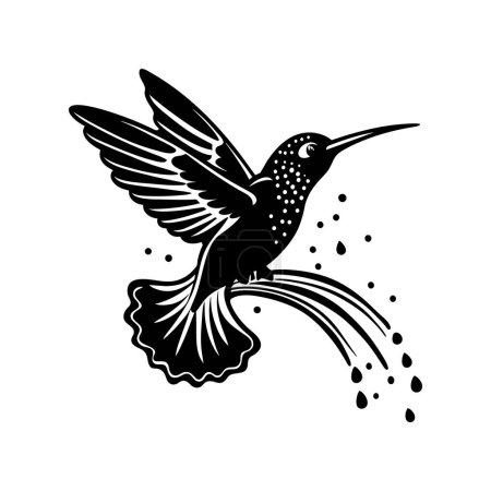 Fliegende Kolibris Silhouette isoliert auf weißem Hintergrund