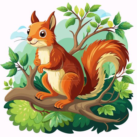 Squirrel vector illustration. Squirrel animal illustration on white background