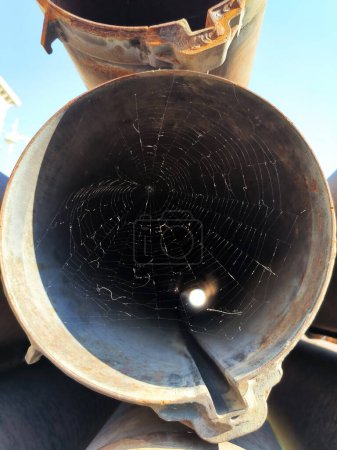Una tela de araña en el lanzador destruido del vehículo de combate 21 "Grad"