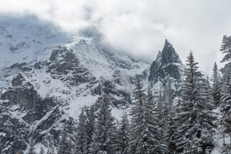 Polaco montañas Tatra en invierno con árboles nevados y congelado Mnich (Monje) montaña rocosa cerca del lago Morskie oko sin gente. Altas montañas cubiertas de nubes.