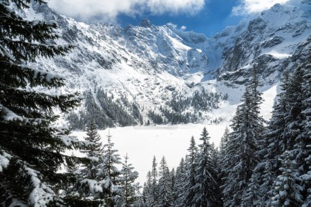 Lago Morskie Oko cubierto de nieve en el día soleado. Árboles en la nieve en primer plano, blanco rocoso High Tatras picos como Rysy en el bacground.