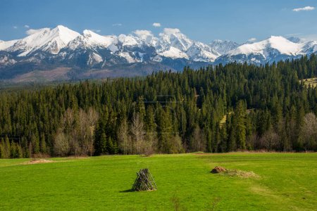 Vista de primavera desde podhale en las altas montañas Tatras (Vysoke Tatry, Tatry Wysokie) en un día soleado con cielo despejado. Hierba verde en el campo en primer plano.