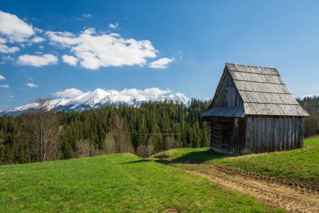 Vue printanière sur les Hautes Tatras (Vysoke Tatry, Tatry Wysokie) au printemps, journée ensoleillée avec ciel sans nuages. Cabane traditionnelle en bois, prairie et chemin de terre au premier plan.