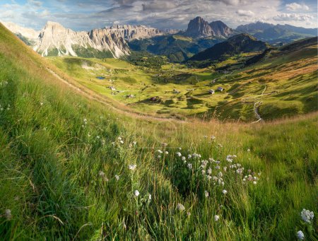 Vista panorámica desde la montaña Seceda hasta Val Gardena en los Dolomitas italianos en el soleado día de verano con hierba verde y flores en primer plano y cielo azul con nubes.