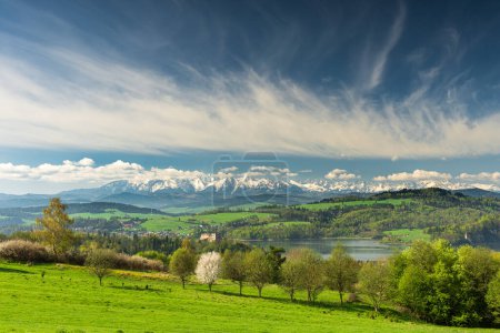 Téléchargez les photos : Panorama printanier avec champs verdoyants et arbres dans la région de Malopolska, Pologne. Château Czorsztyn et les montagnes Tatra enneigées derrière, Pieniny et de beaux nuages sur ciel bleu. - en image libre de droit