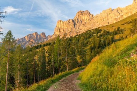 Wild road between meadow and forest in front of mountain peaks illuminated by the sunset. Dolomites, Italy in summer.