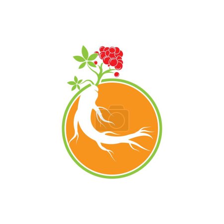 Ginseng Symbol Vektor Illustration Design Logo Vorlage