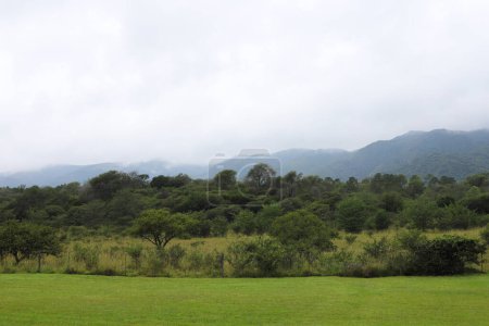 Landschaft der Berge von Crdoba, Argentinien. autochthone Vegetation. Sträucher und Bäume mit Bergen im Hintergrund. Calamuchita-Tal. Villa General Belgrano.