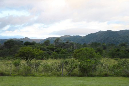 Paisaje de las montañas de Crdoba, Argentina. vegetación autóctona. Arbustos y árboles con montañas en el fondo. Valle de Calamuchita. Villa General Belgrano.