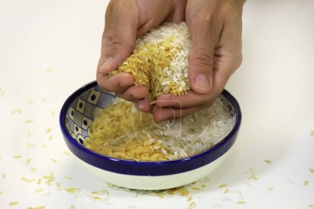 Téléchargez les photos : Mains tenant du riz. Mains saisissant du riz dans une assiette pleine. Du riz cru. Riz de plusieurs variétés mélangées dans un même bol. Grains de riz blanc et brun. De la nourriture. Les mains de maman offrant à manger. Blanc isolé - en image libre de droit