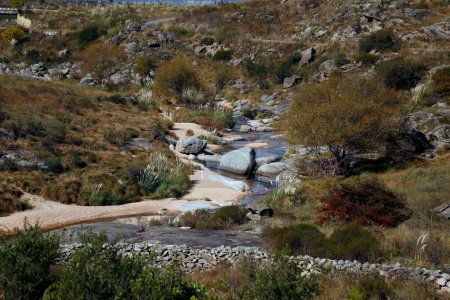 River of the Sierras of Crdoba, Argentina. Road to the High Summits. Rocky mountain stream. native vegetation. Latin America. Clear water. Mountains landscape. Cordoba.