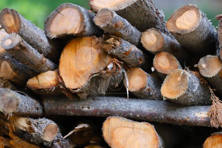 Logs of firewood stacked in wheelbarrow. Tree wood cut for heating in winter.