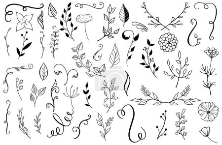 Illustration for Set of hand drawn elements with floral elements and leaves, calligraphy design for invitations, greeting cards, quotes, blogs, poster Vector - Royalty Free Image