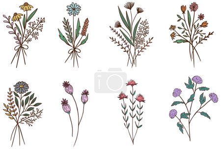 Photo for Floral Bouquet, Wildflower Bouquet, Hand Drawn Vector Illustrations - Royalty Free Image