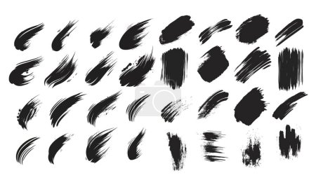 Collection black strokes, brushes, spry vector