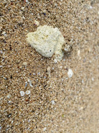 Téléchargez les photos : Beau fond de sable de plage avec des ornements en pierre blanche. - en image libre de droit