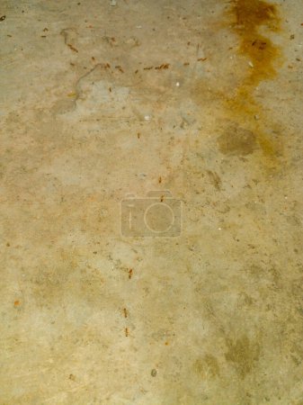 Téléchargez les photos : Fourmis marchant sur le sol. Les fourmis rouges s'alignent de manière ordonnée. - en image libre de droit