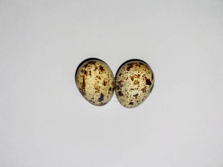 Téléchargez les photos : Deux œufs de caille crus isolés sur fond blanc. - en image libre de droit