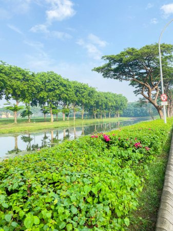 Téléchargez les photos : Vue sur la rivière avec un parc verdoyant sur le bord. Vue sur la rivière pendant le ciel bleu de la ville. - en image libre de droit