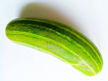 Foto de Pepino verde aislado sobre fondo blanco. Tema de las verduras. - Imagen libre de derechos