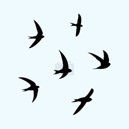 Illustration vectorielle silhouette oiseaux rapides