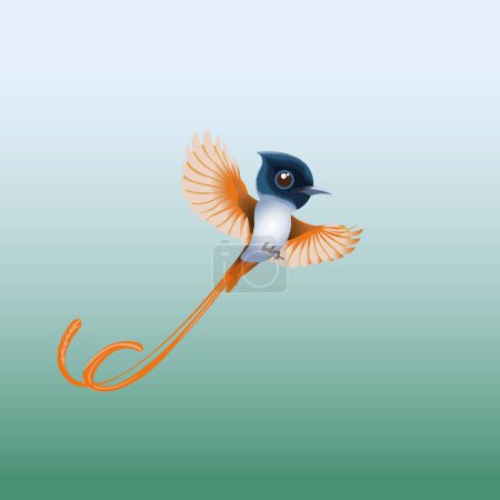 Asian paradise flycatcher bird illustration