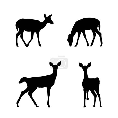 Foto de Conjunto de siluetas de ciervo en diferentes poses vector ilustración - Imagen libre de derechos