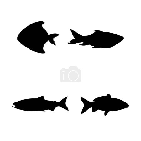 Foto de Conjunto de peces silueta vector - Imagen libre de derechos