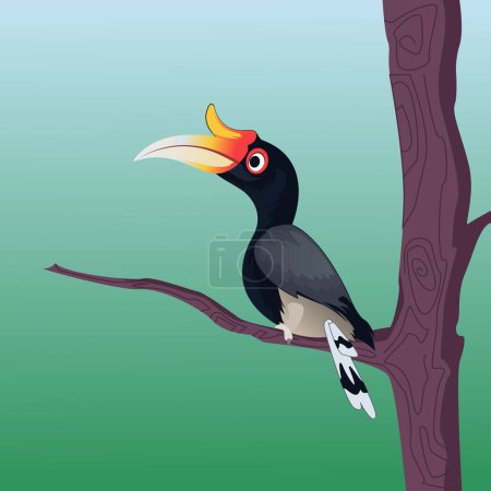 Foto de Hornbill aves vector de arte Ilustración - Imagen libre de derechos